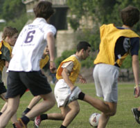 Summer Language camp